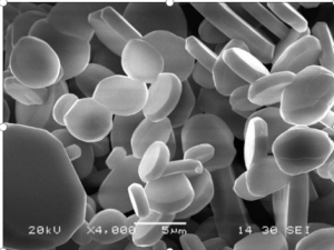 Pó de alumina plaquetária como enchimento para pulverização de plasma  -2-